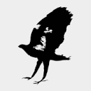 Scott Free Productions